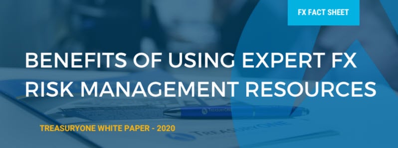Benefits-of-using-FX-risk-managment-experts-1