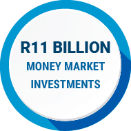 treasury-one-in-money-market-investments-south-africa-11bn